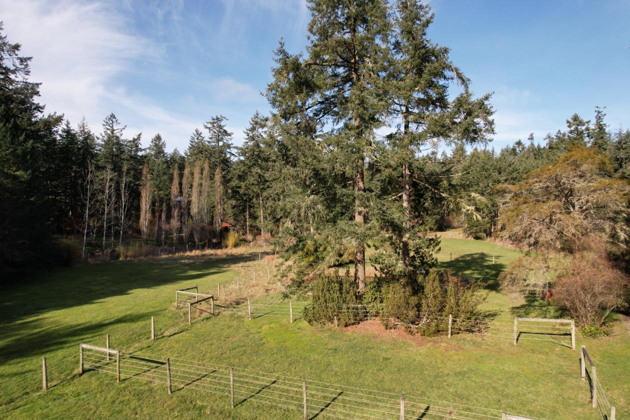 Salt Spring Island Hobby Farm Perfect for Horses!! - photo 5