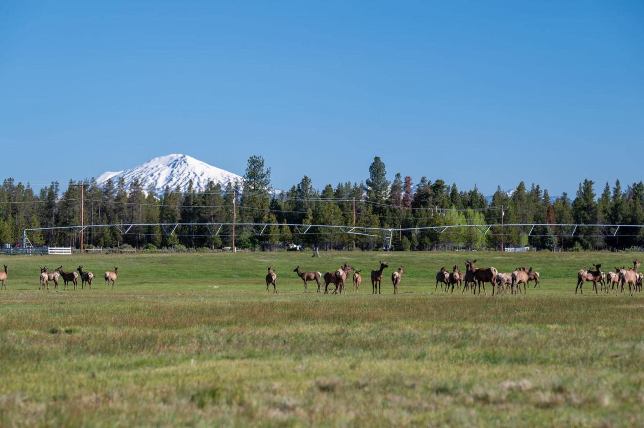 K Bar J Ranch - photo 18