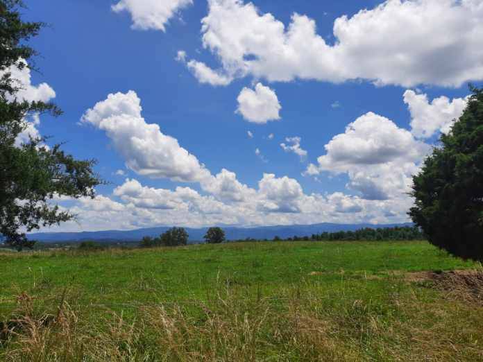 Horse Property for sale.