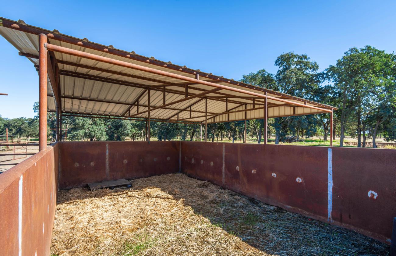Equestrian's Paradise - photo 25
