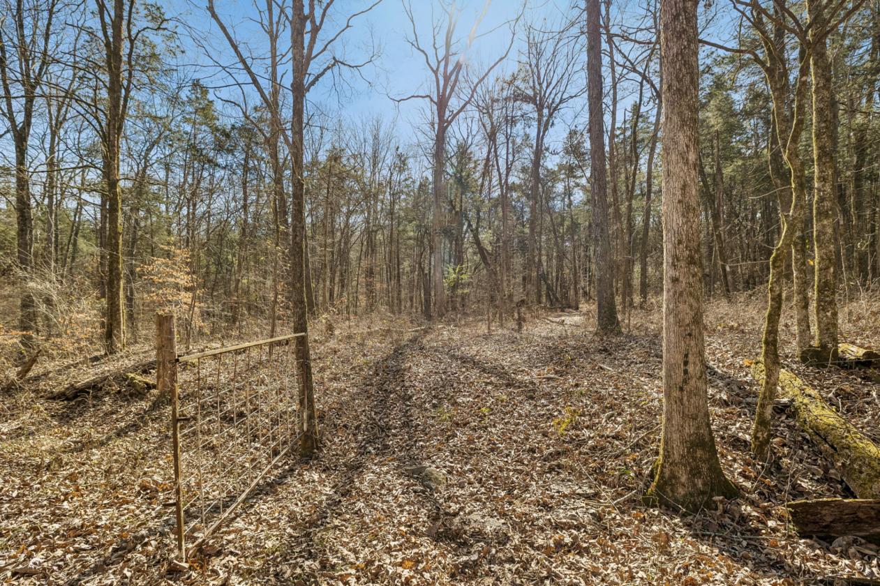 175 Gorgeous Acres - photo 22