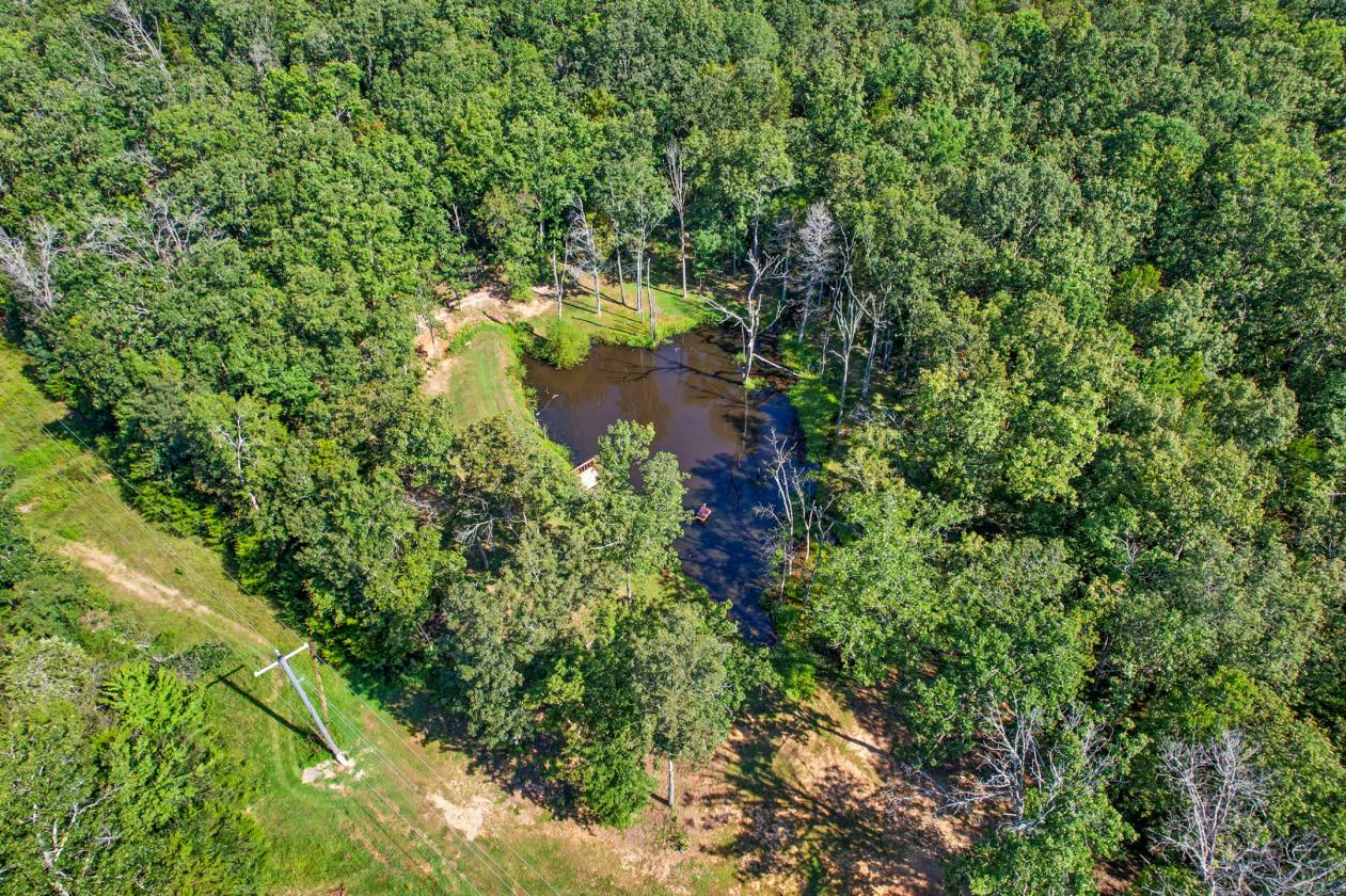 Perfect for the Outdoor Enthusiast! Stocked Pond! - photo 9