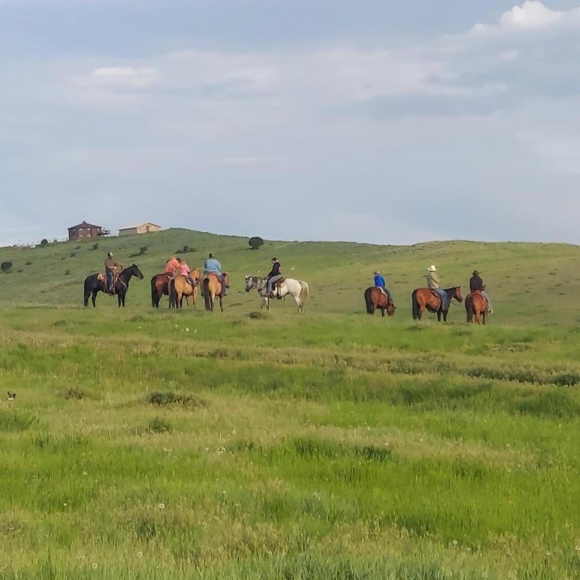 Premier Horse Property With Trophy Mule Deer - photo 24