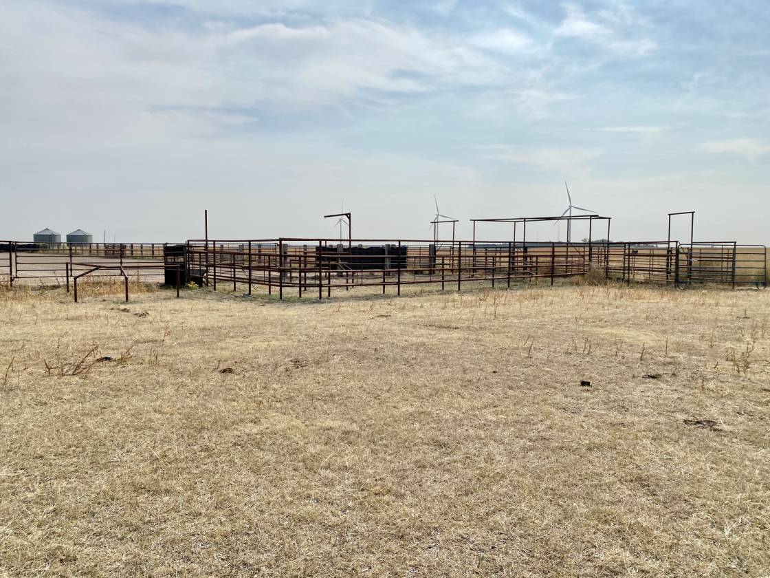 Beautiful Western Kansas Horse Property with Indoor/Outdoor Arenas