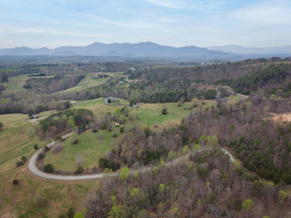 Complete Your Vision in Tryon Horse Country - photo 6