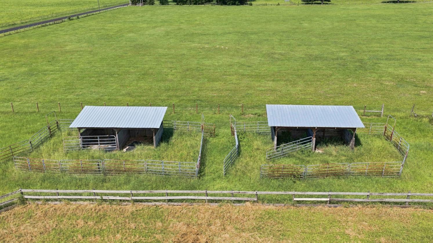 Exceptional 31-Acre Equestrian Property - photo 7