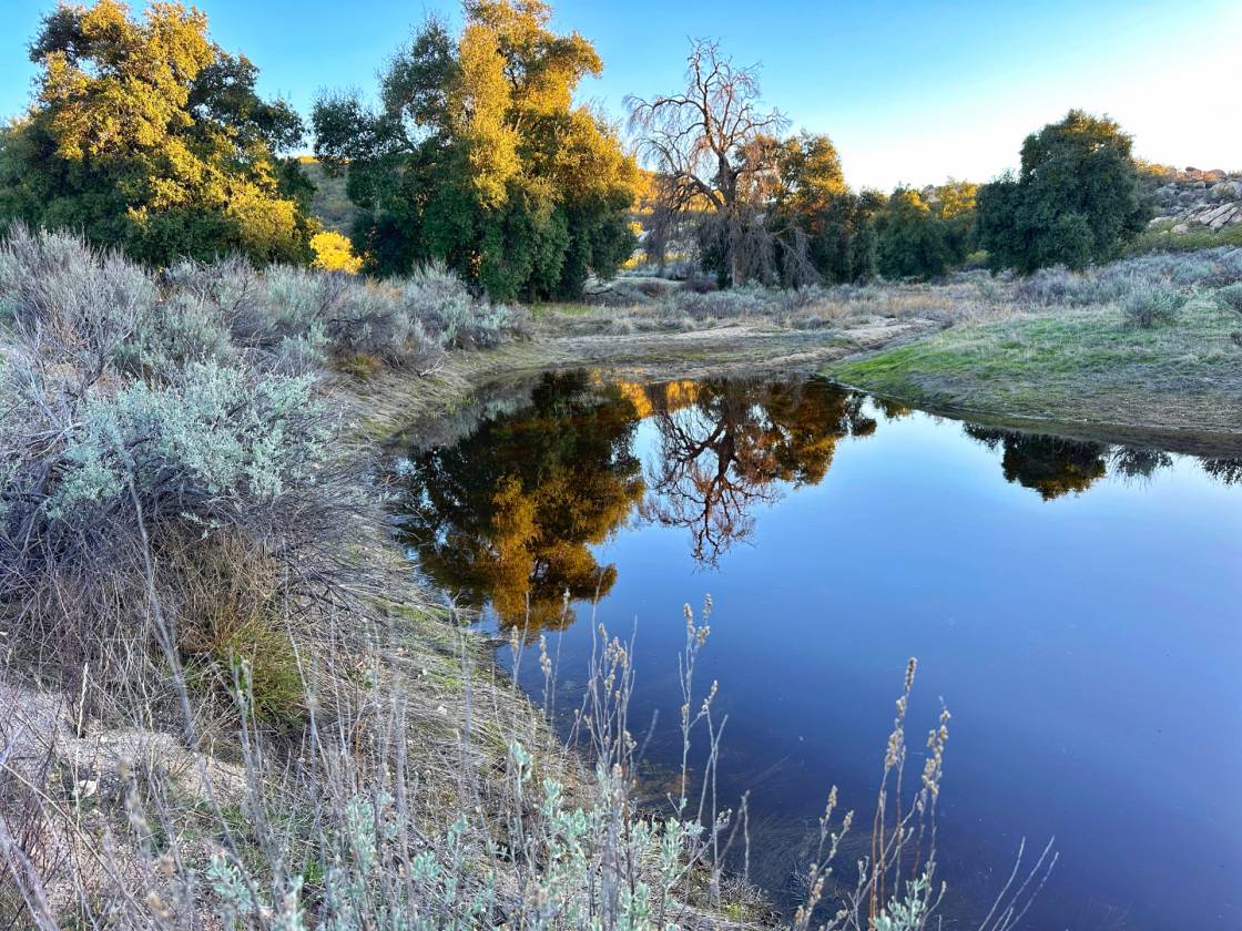 Horse Property for sale.