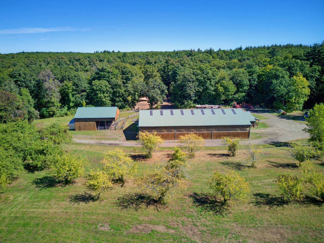 Equestrian Estate with endless possibilities - photo 4