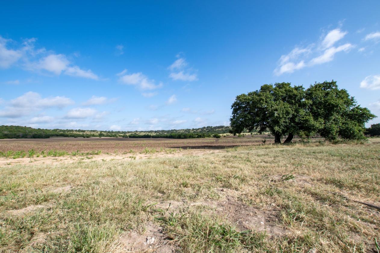 60 Acres in Star - Ready for Horses! - photo 27