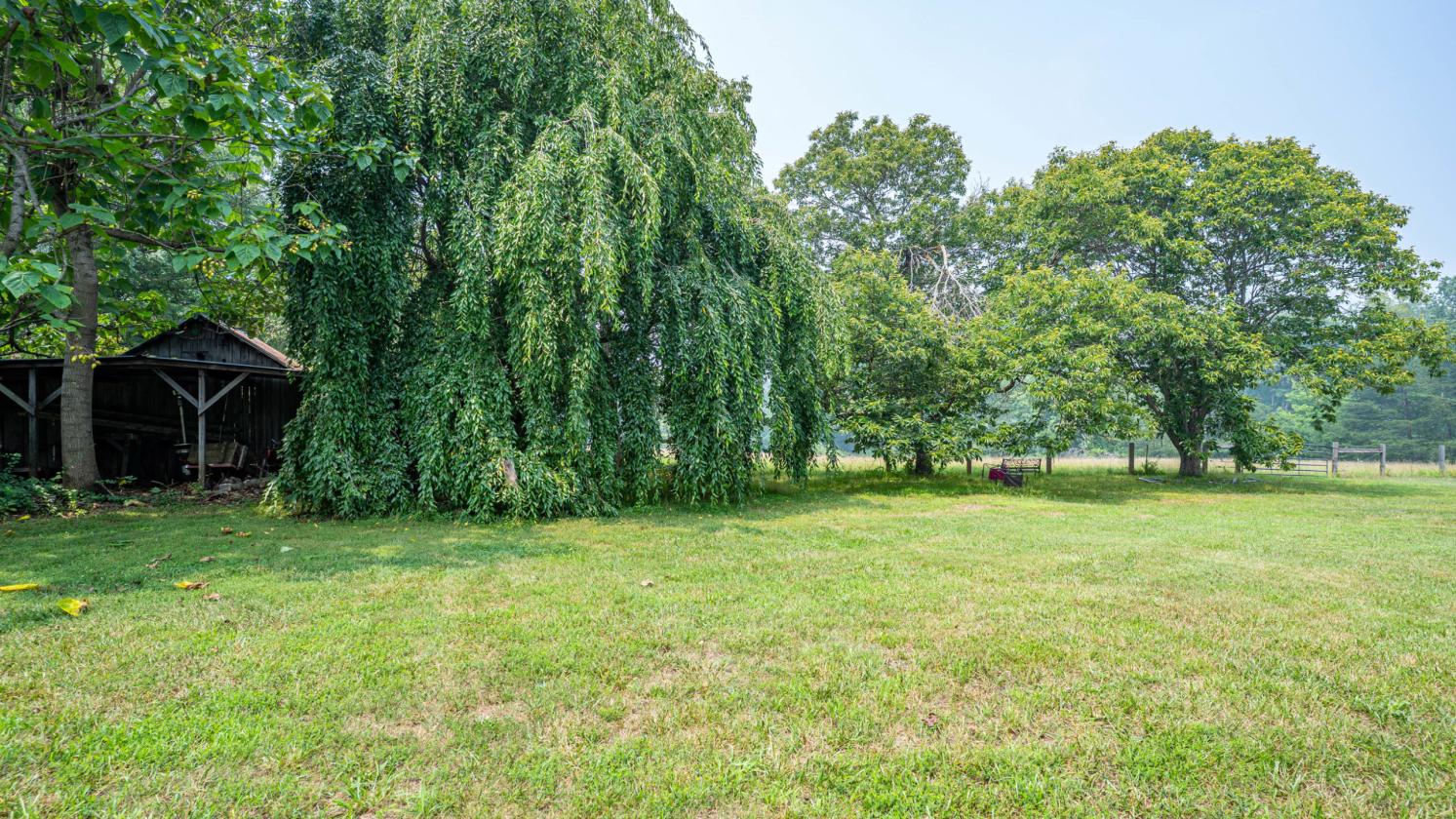Ironwood Farm offering over 75 acres - photo 19