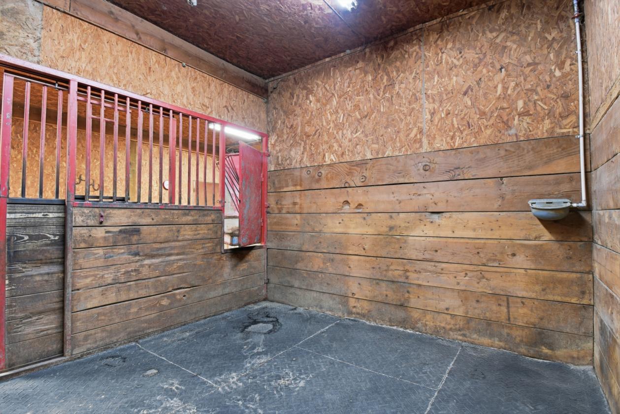 Equestrian Dream with Deluxe Horse Setup - photo 15