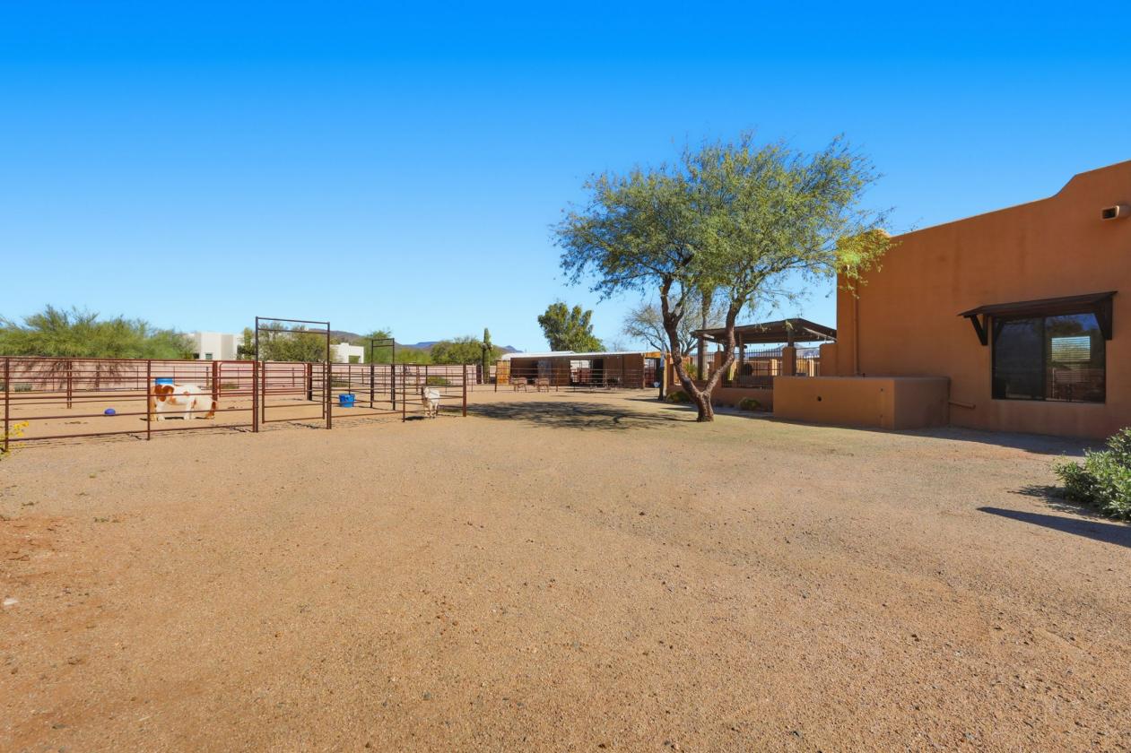 Desert Hills Luxury horse property on over an acre - photo 26