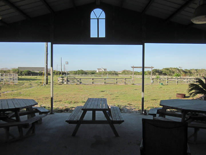 80+/ Acres Horse Farm with Barndominium Corpus Christi, Nueces County, Texas