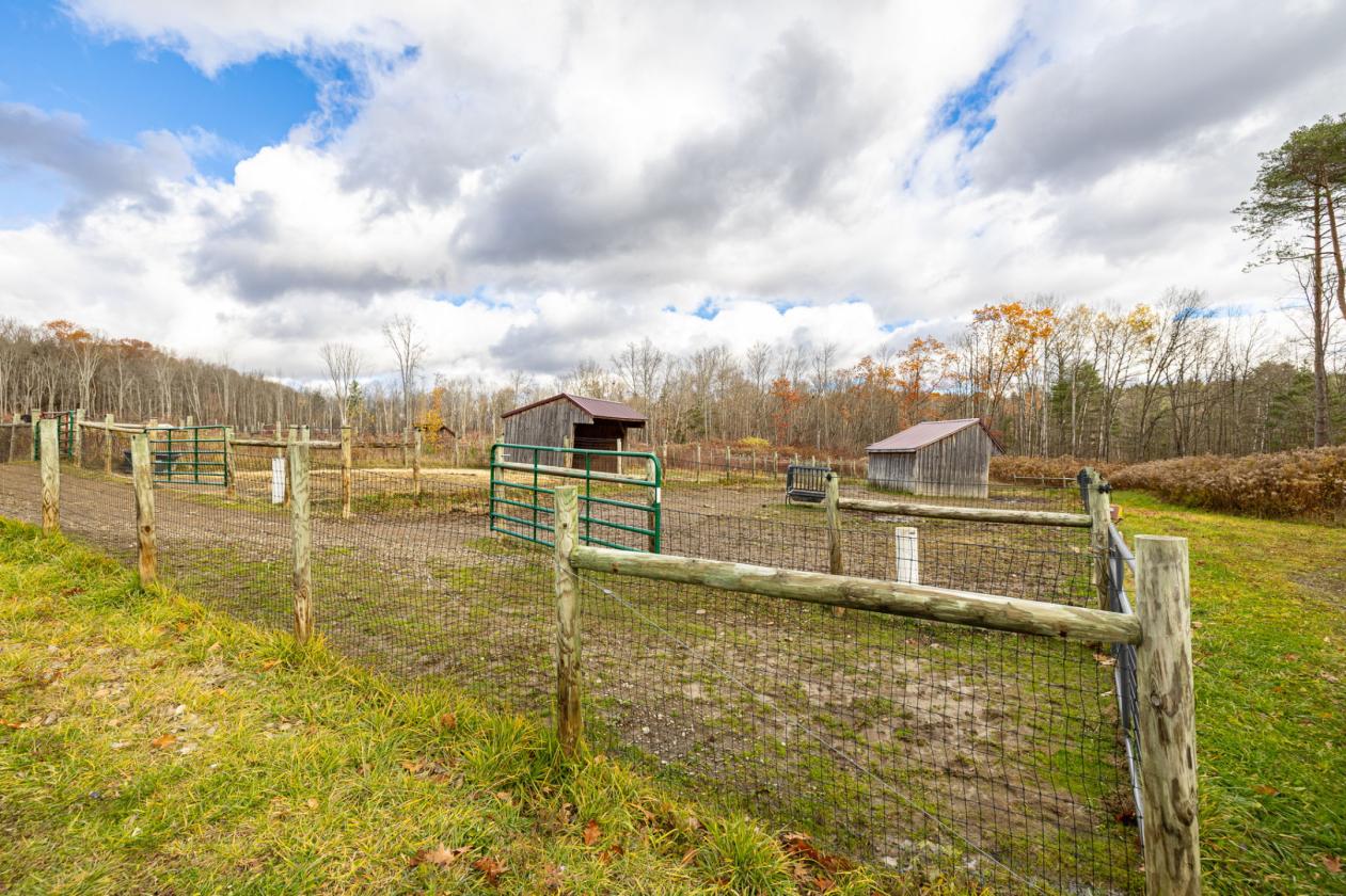 WNY Campground with Equine Facilities - photo 10