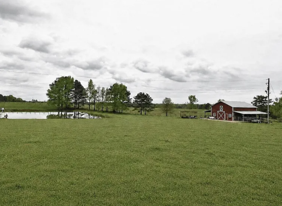 10 Acre Horse Property with Barn Near Lake Martin - photo 4