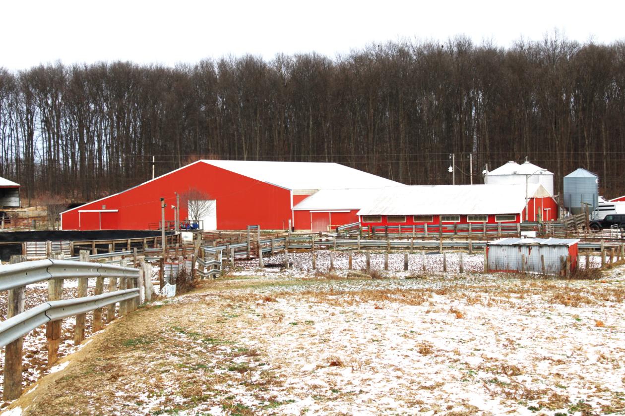 Central Indiana Horse Training & Boarding Facility - photo 27