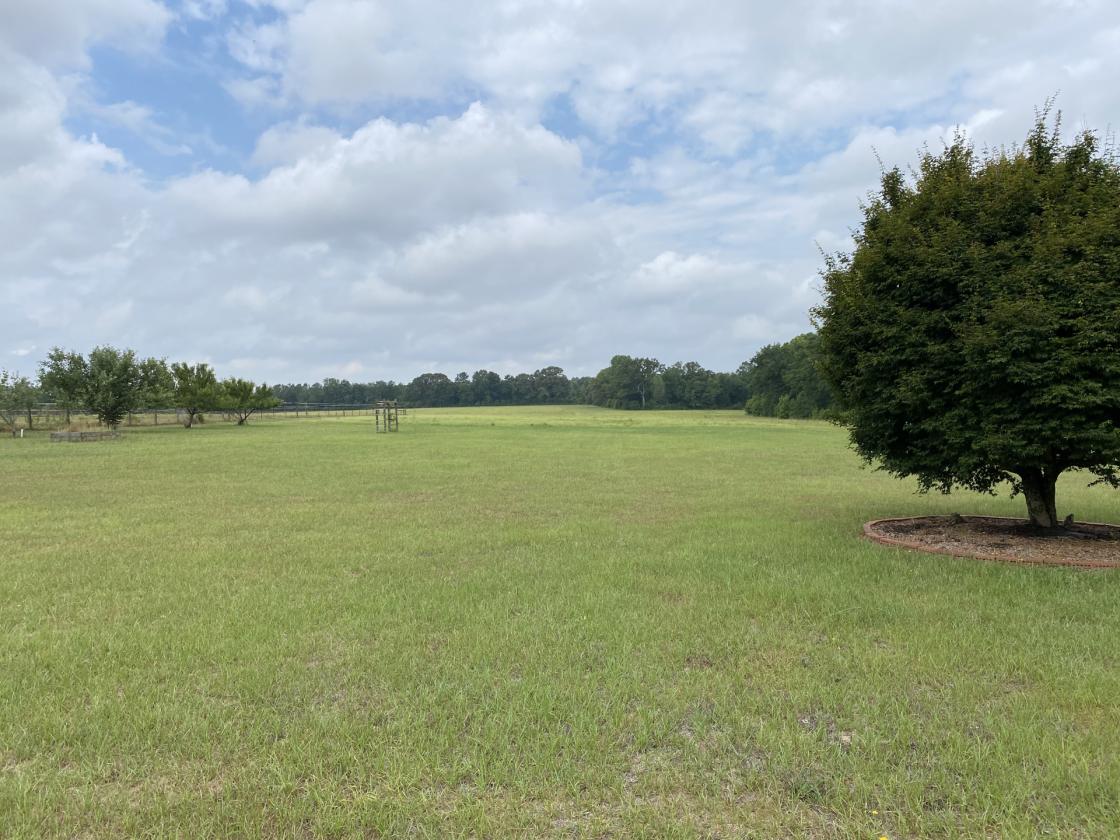 Claddagh Farm: 70+ acre horse farm - photo 10