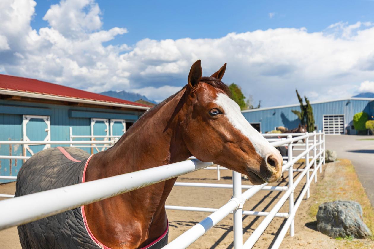 Rhodes River Ranch | A Legendary Equestrian Estate - photo 21