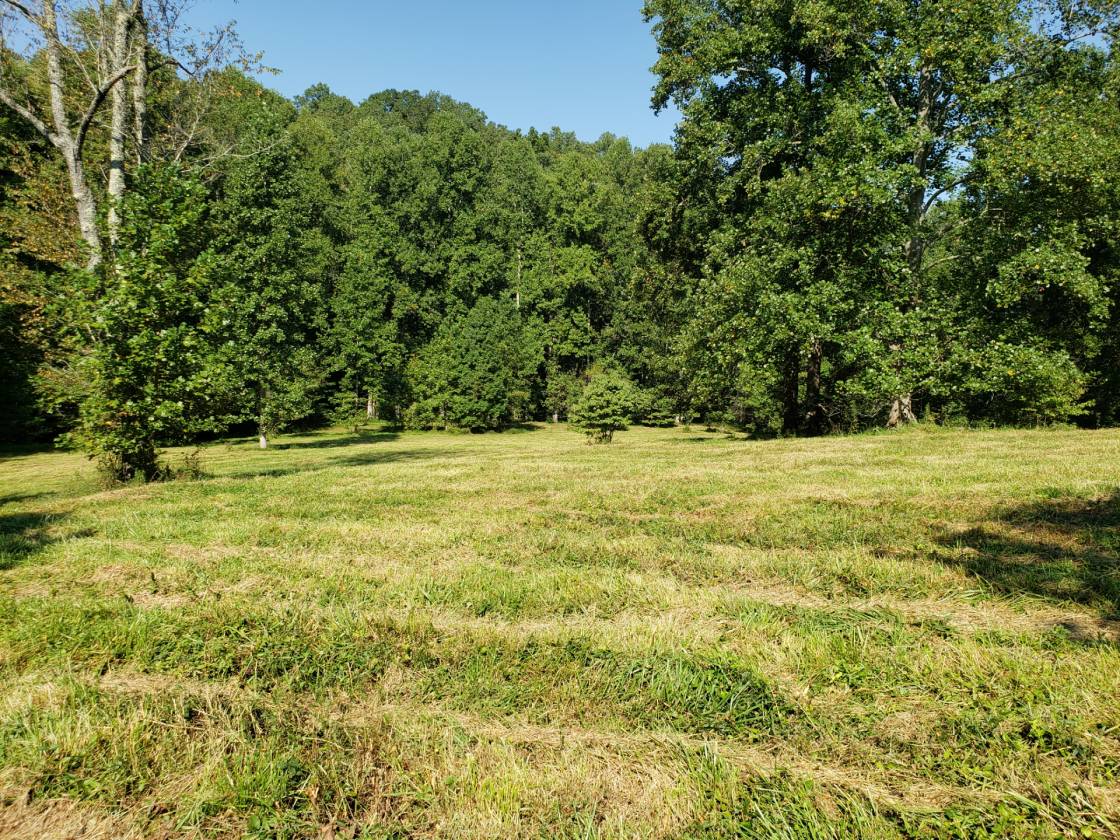 SURROUNDED ON 4 SIDES BY NATIONAL FOREST Toccoa, Habersham County