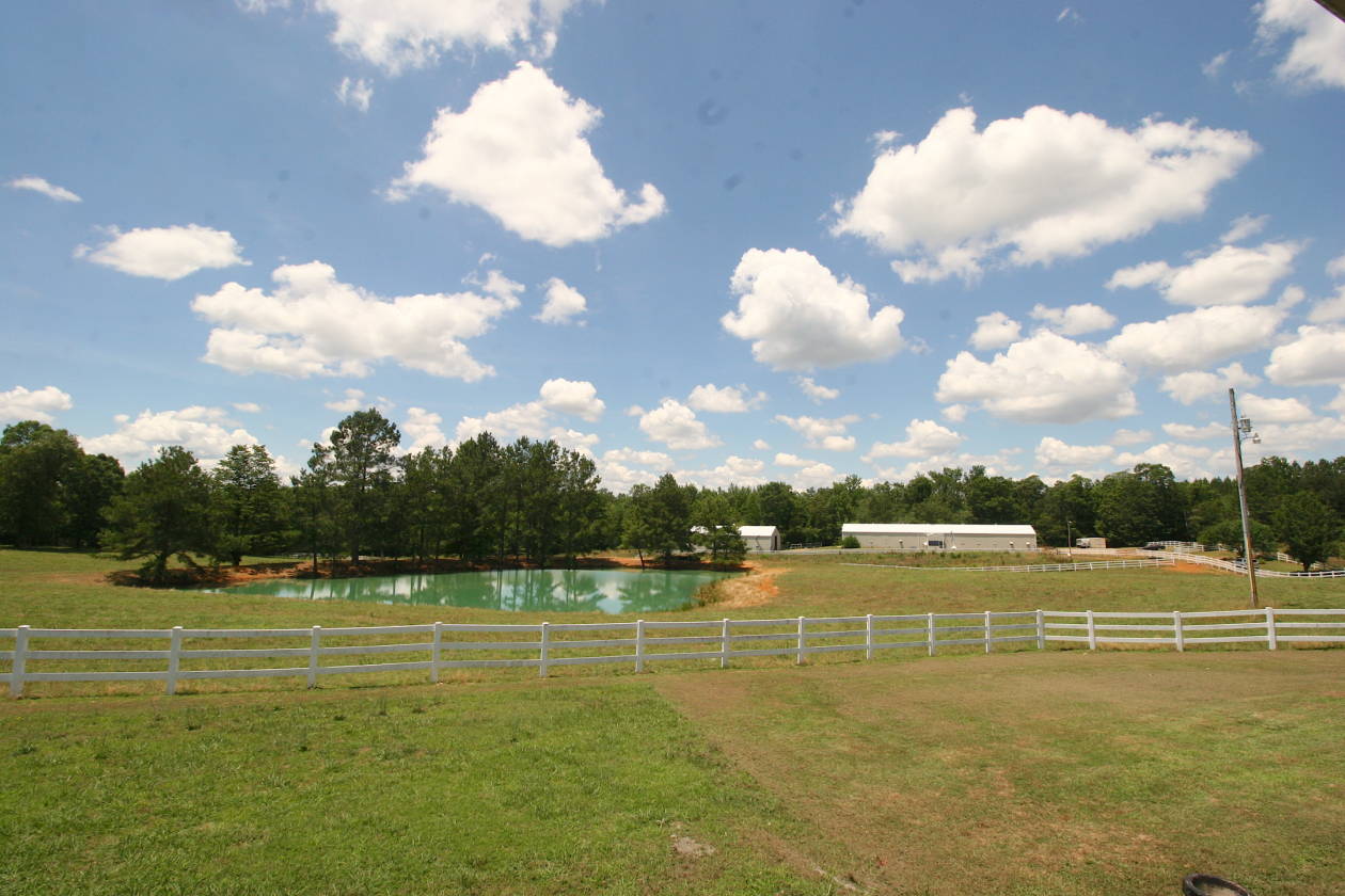 Saddle Ridge Farms near the Tennessee River Saltillo, Hardin County, Tennessee
