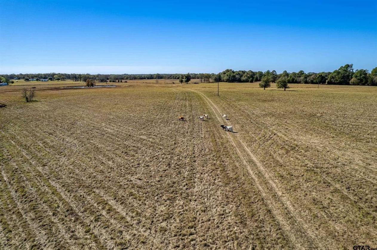 105 Acres of Beautiful Countryside - photo 14
