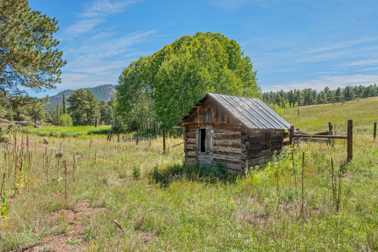 Spring Creek Ranch | Historic Horse Property - photo 27