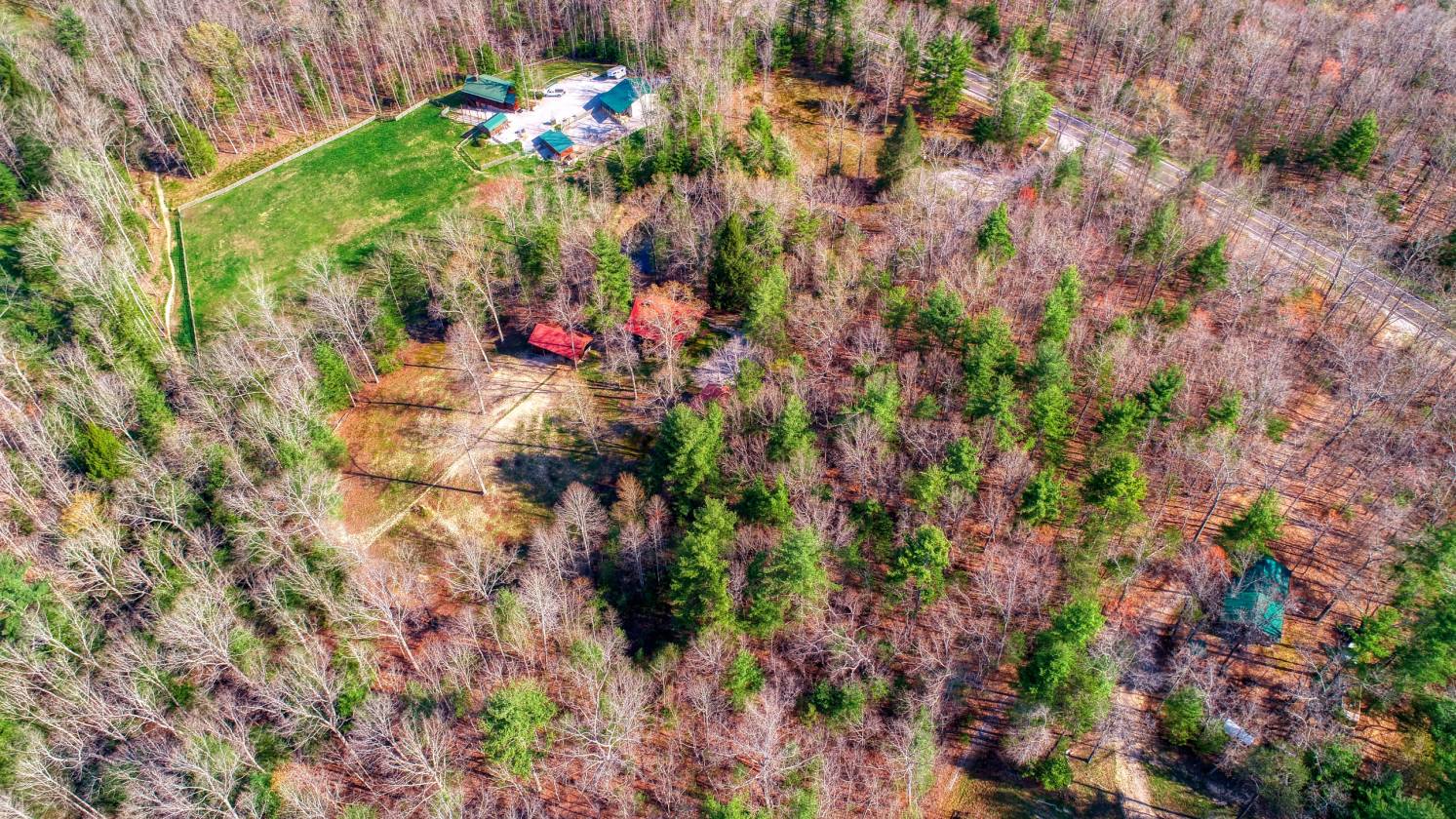 Direct Trail Access Cabin with 8.94 acres Spruce... Jamestown