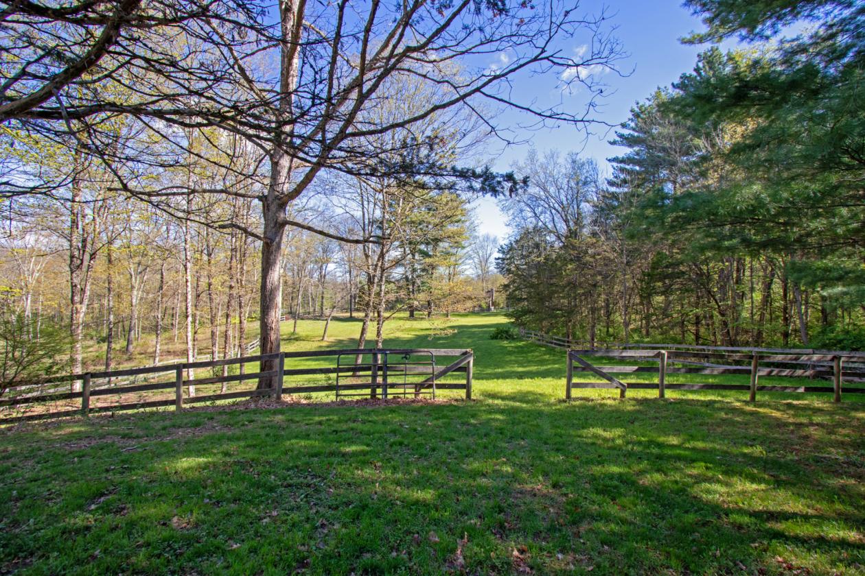 Homesteading Property - photo 7