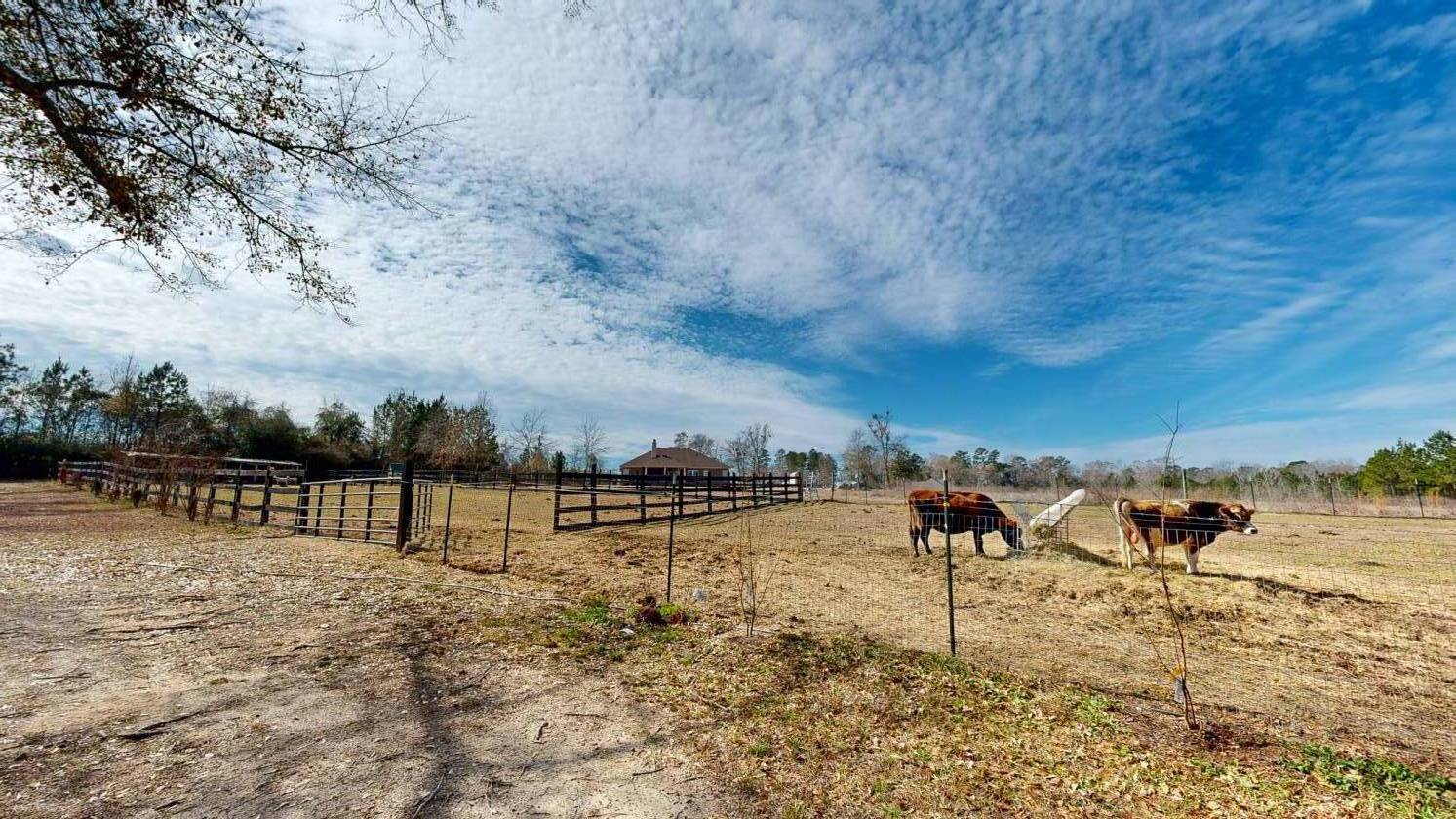 Luxury equestrian mini estate with executive home - photo 18