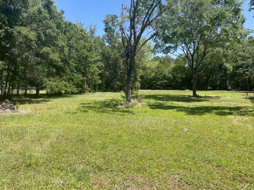 Brick Home on 1.14 Acre Lot! - photo 3