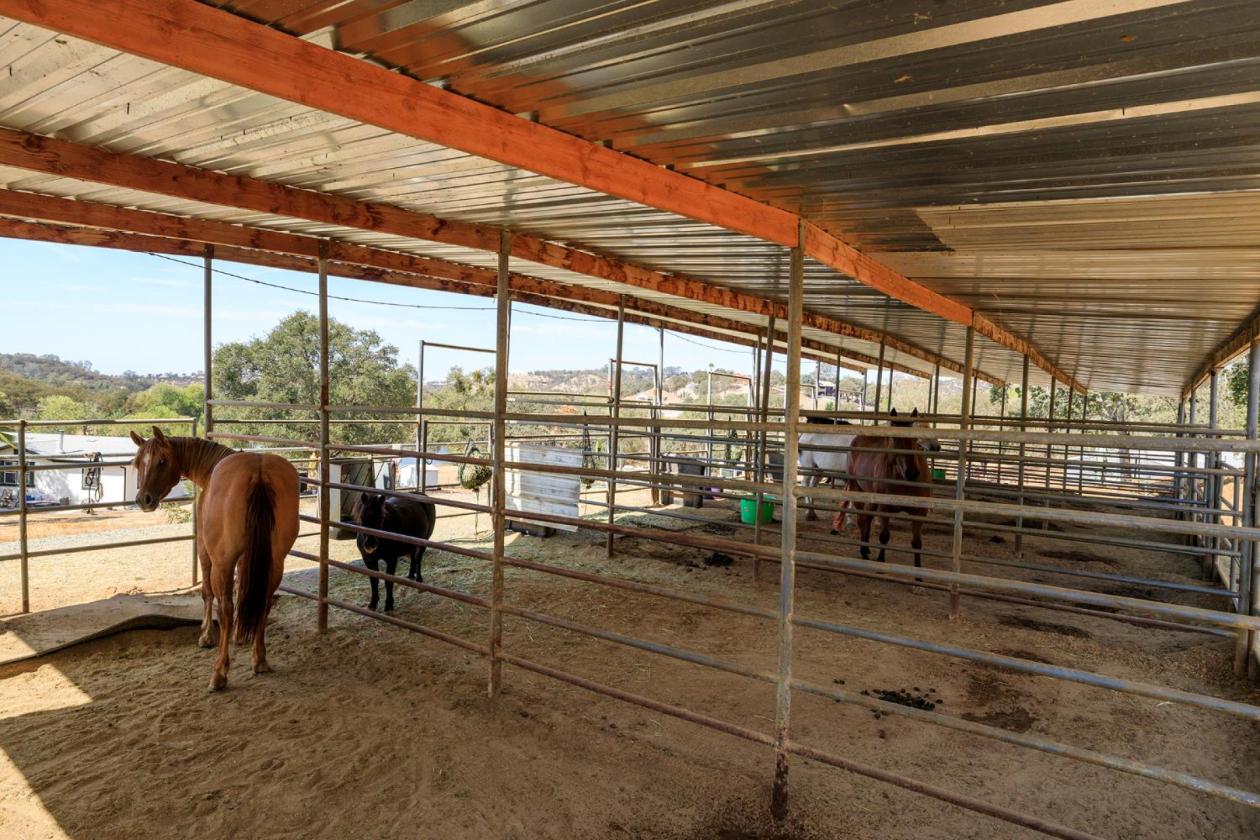 SPECTACTULAR LAKE FRONT HORSE PROPERTY RANCHETTE!! - photo 16