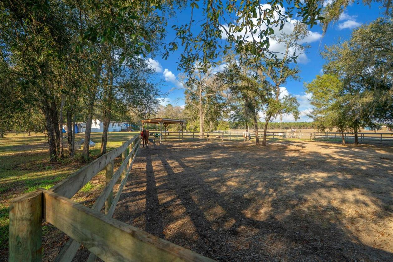 2.5 Acres of Mini Farm Living + Income Potential! - photo 19