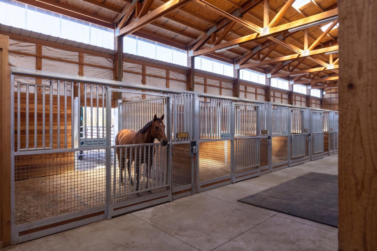 Commercial Horse Training Facility - photo 16