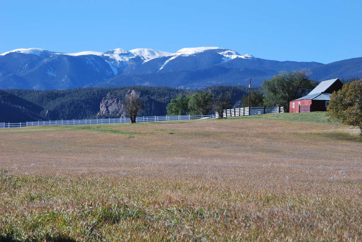 Southern Colorado Wild Turkey Ranch Beulah Valley, Pueblo County