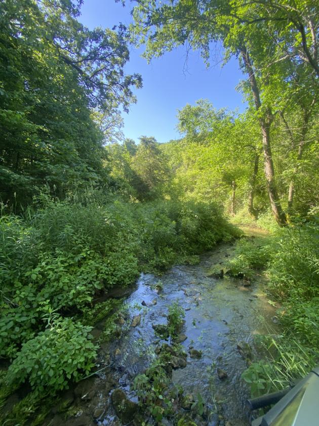 Deep River Farm - photo 23