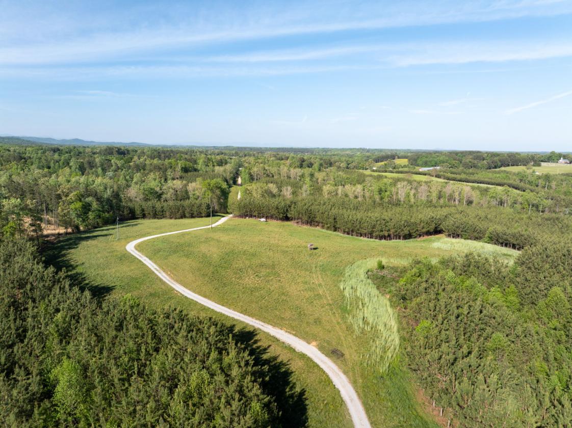 169 Acres, pastures, creeks, pond sites and trees - photo 14