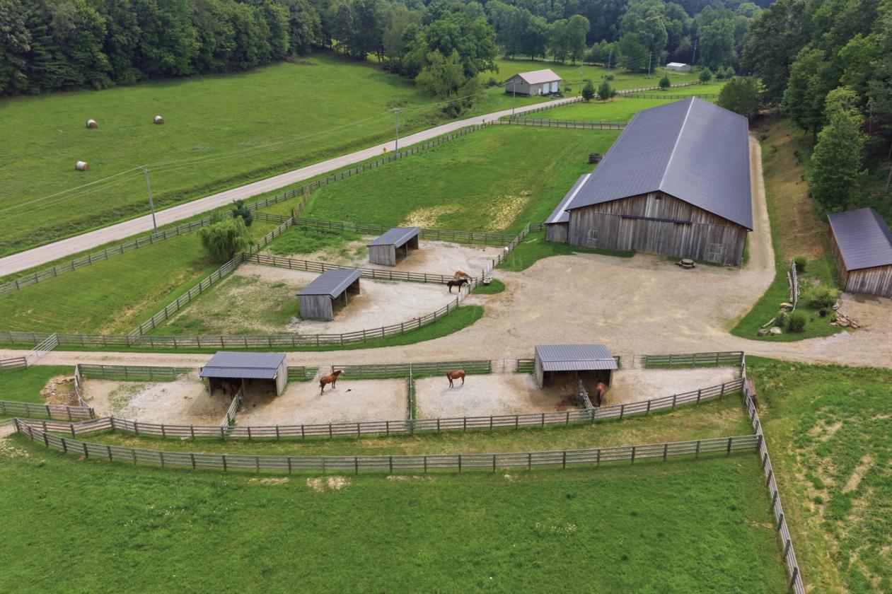 Exceptional Mohican Equine Estate Auction - photo 11