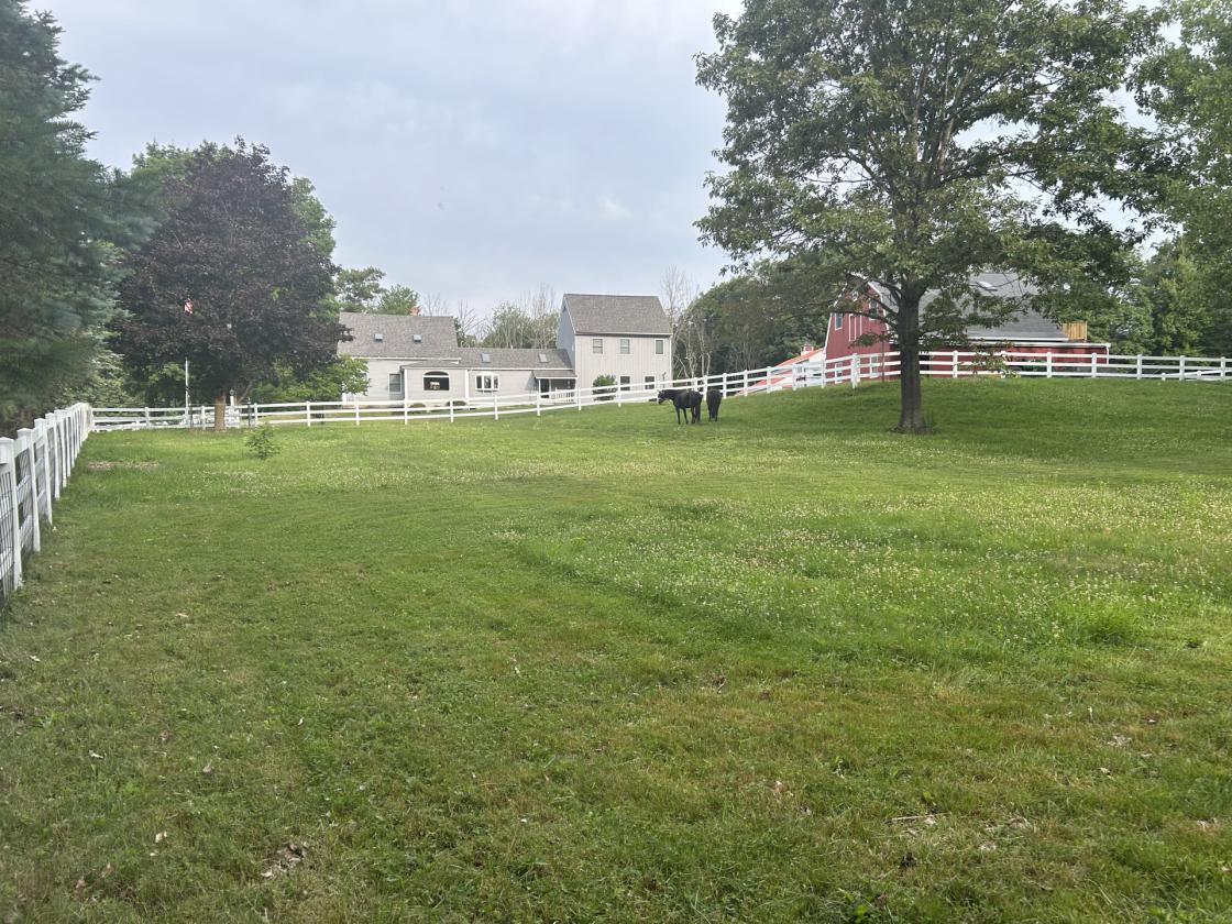 Turnkey Horse Property With Extra Amenities - photo 22