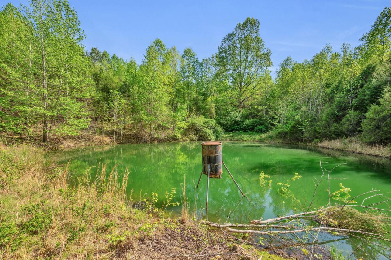 A front-row seat to spectacular Tennessee! - photo 25
