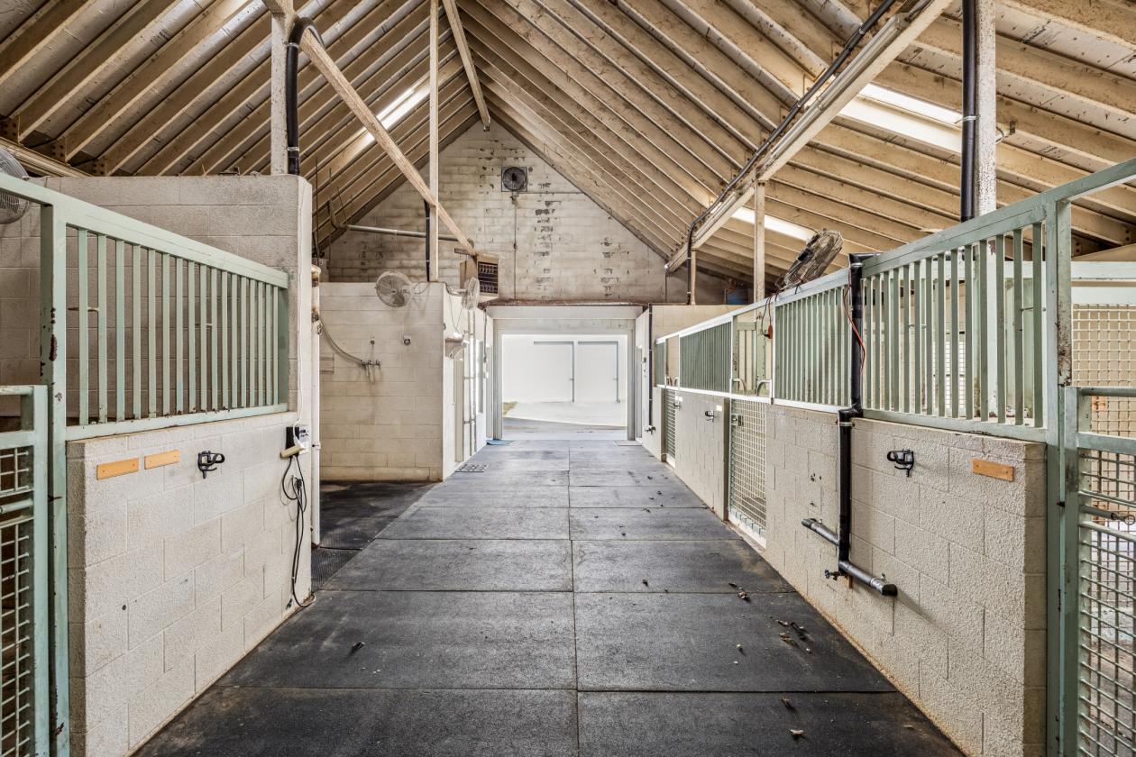 Private Equestrian Retreat in Butterfield Junction - photo 15