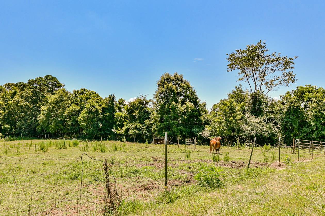 HorsesCattleBeautiful Property Mount Pleasant, Cabarrus County