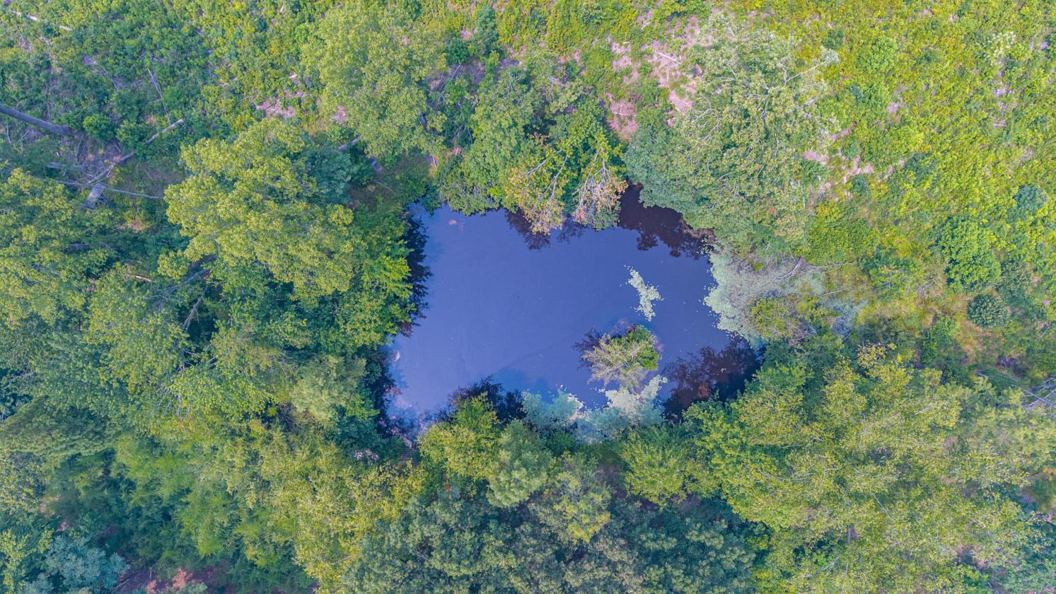 Ironwood Farm offering over 75 acres - photo 26