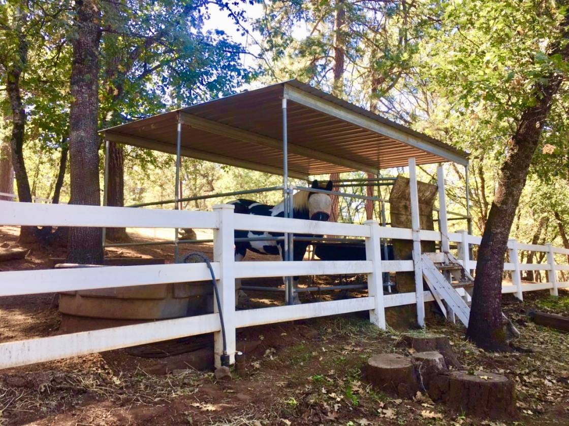 Get Away to the Safe, Serene Country! Beautiful Custom Home