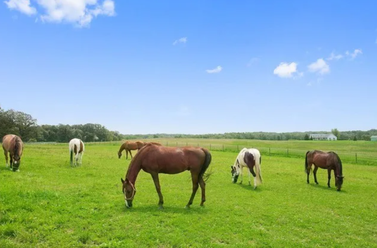20 Acre Equestrian Property with 30 Stalls - photo 10