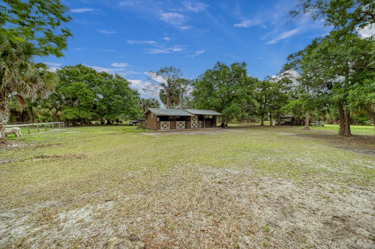 Palm City Farms: 5 Acres Near Scenic Riding Trails - photo 6