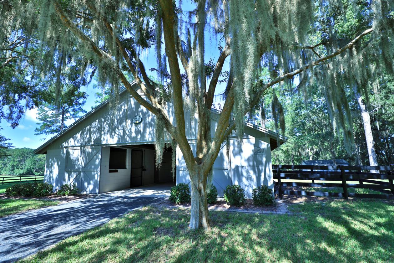 FOR LEASE - RISE AND SHINE FARM - photo 11