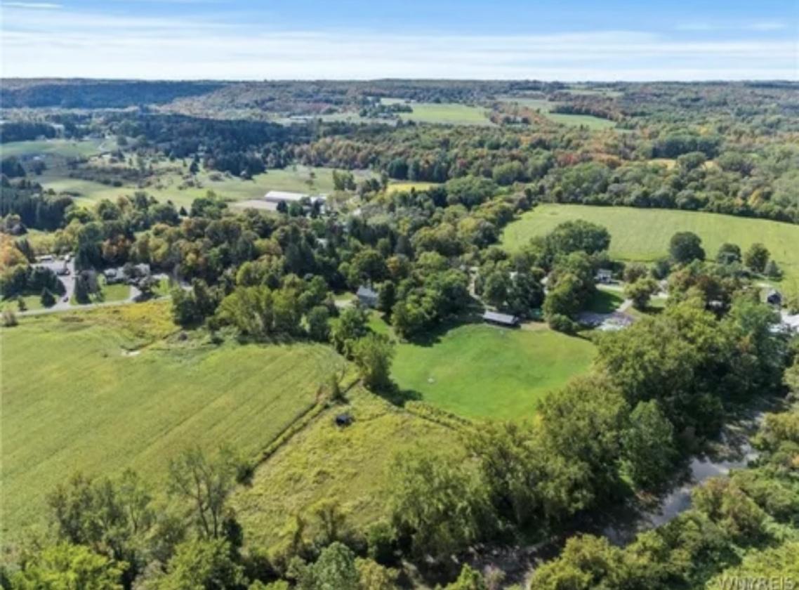 Horse Property gorgeous view 5ac- 2 barns & home - photo 8