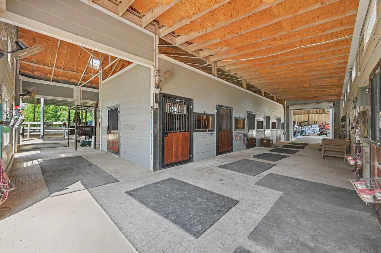 Private Equestrian Estate with guest house - photo 28
