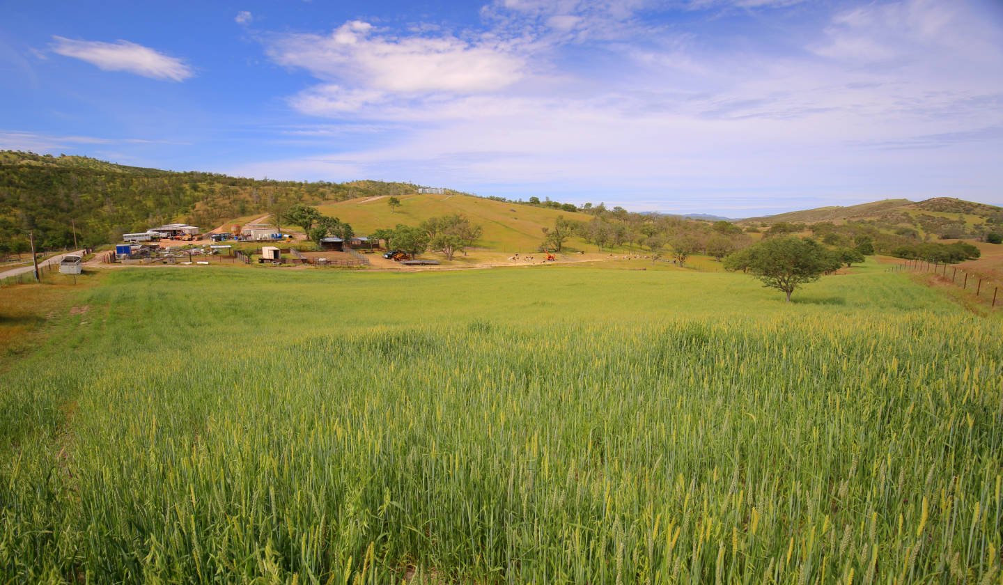 153+/ Acre Ranch For Sale Creston, San Luis Obispo County
