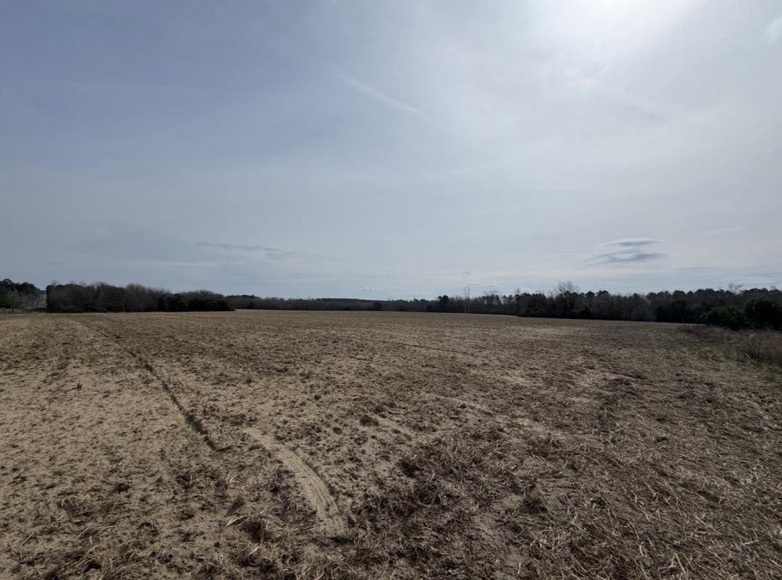 +/- 71 acres of RURAL LAND 20 minutes from Aiken - photo 5